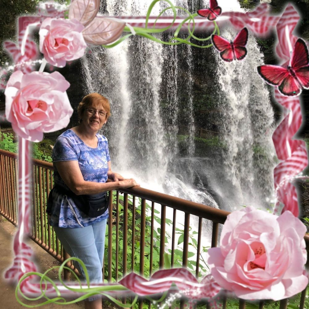 Meet your Posher, Rose